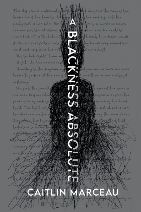 A BLACKNESS ABSOLUTE