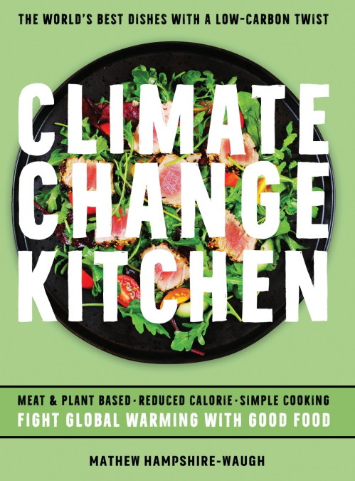 CLIMATE CHANGE AND THE ROAD TO NET-ZERO