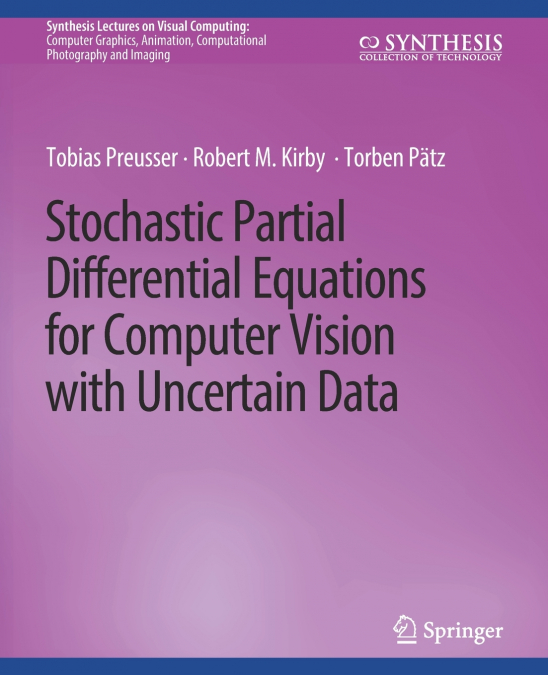 STOCHASTIC PARTIAL DIFFERENTIAL EQUATIONS FOR COMPUTER VISIO