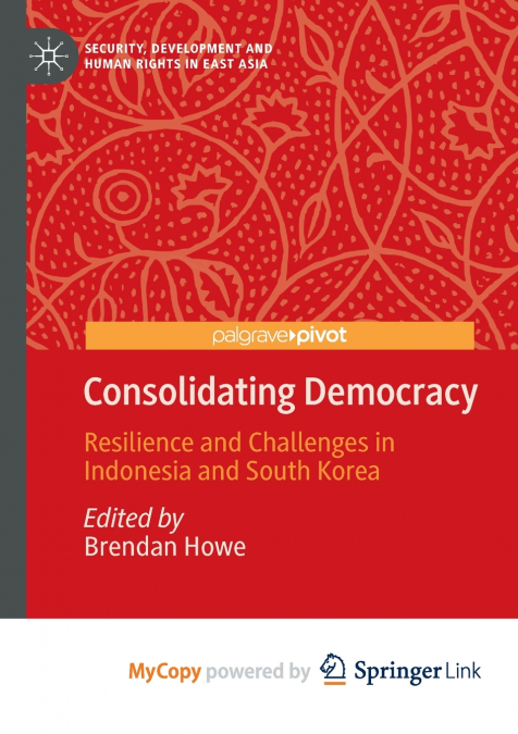 CONSOLIDATING DEMOCRACY