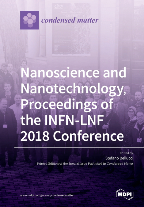 NANOSCIENCE AND NANOTECHNOLOGY, PROCEEDINGS OF THE INFN-LNF
