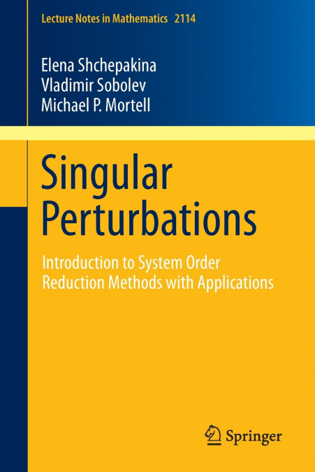 SINGULAR PERTURBATIONS