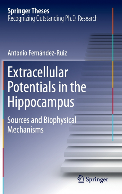 EXTRACELLULAR POTENTIALS IN THE HIPPOCAMPUS