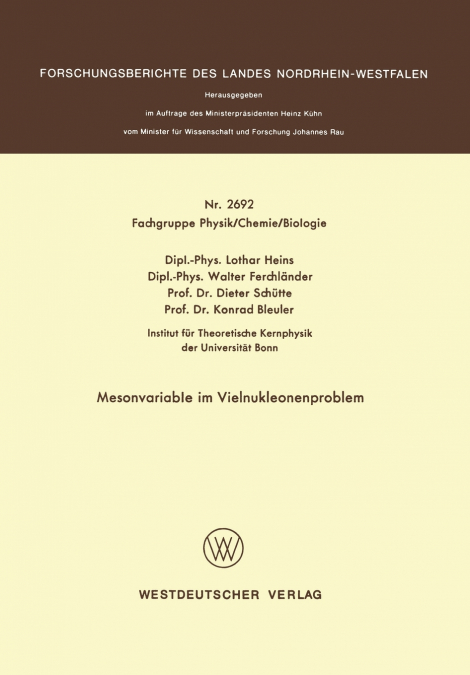 MESONVARIABLE IM VIELNUKLEONENPROBLEM