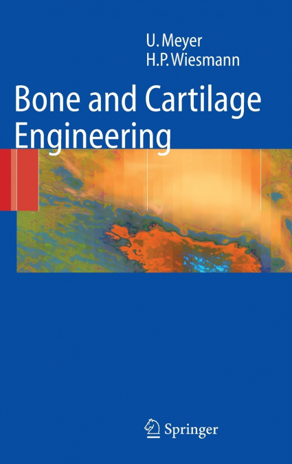 BONE AND CARTILAGE ENGINEERING