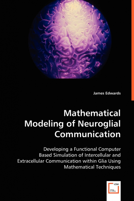 MATHEMATICAL MODELING OF NEUROGLIAL COMMUNICATION