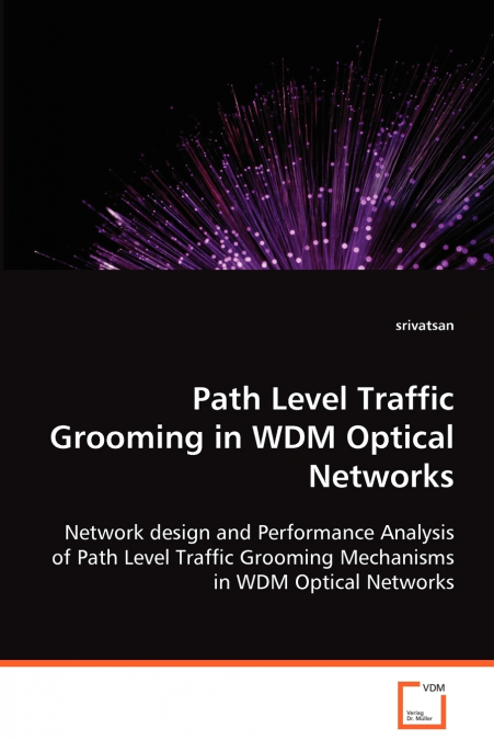 PATH LEVEL TRAFFIC GROOMING IN WDM OPTICAL NETWORKS