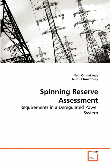 SPINNING RESERVE ASSESSMENT