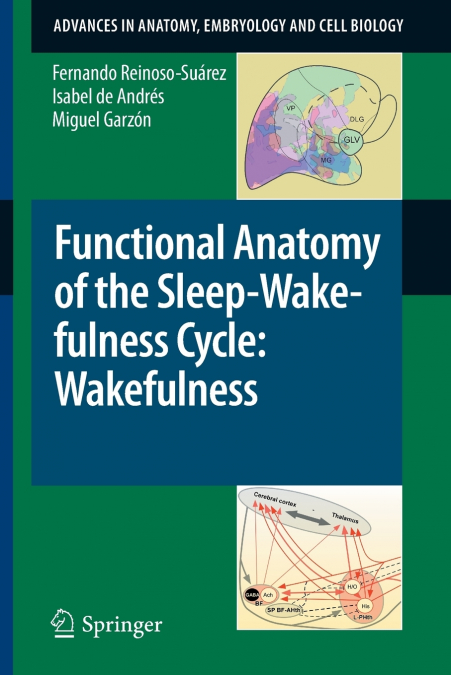FUNCTIONAL ANATOMY OF THE SLEEP-WAKEFULNESS CYCLE