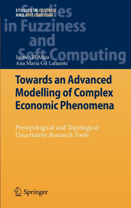 TOWARDS AN ADVANCED MODELLING OF COMPLEX ECONOMIC PHENOMENA
