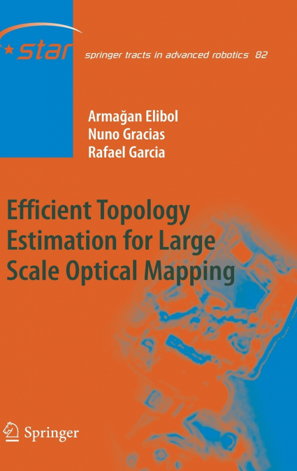 EFFICIENT TOPOLOGY ESTIMATION FOR LARGE SCALE OPTICAL MAPPIN