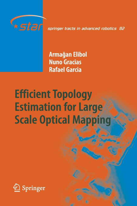 EFFICIENT TOPOLOGY ESTIMATION FOR LARGE SCALE OPTICAL MAPPIN