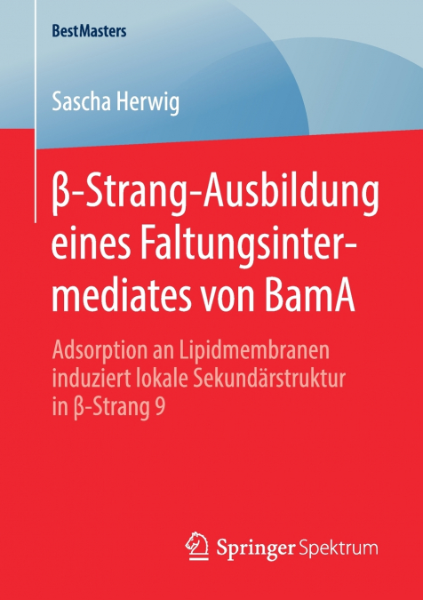 ?-STRANG-AUSBILDUNG EINES FALTUNGSINTERMEDIATES VON BAMA