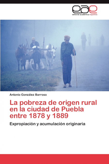 LA POBREZA DE ORIGEN RURAL EN LA CIUDAD DE PUEBLA ENTRE 1878
