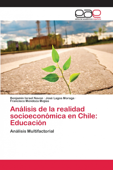 ANALISIS DE LA REALIDAD SOCIOECONOMICA EN CHILE