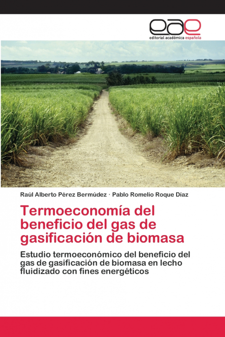 TERMOECONOMIA DEL BENEFICIO DEL GAS DE GASIFICACION DE BIOMA