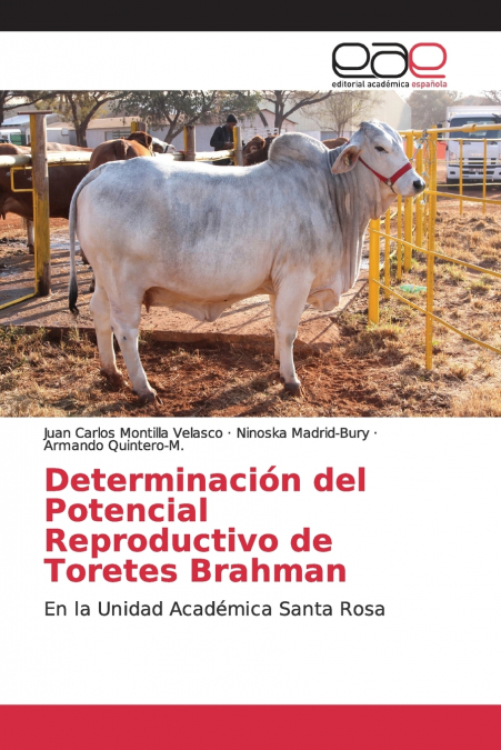 DETERMINACION DEL POTENCIAL REPRODUCTIVO DE TORETES BRAHMAN