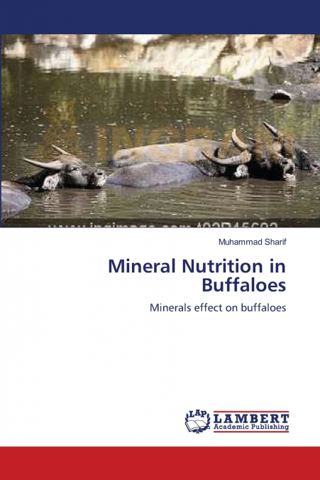 MINERAL NUTRITION IN BUFFALOES