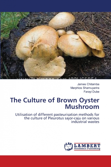 THE CULTURE OF BROWN OYSTER MUSHROOM