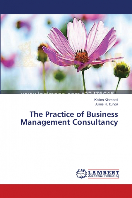 THE PRACTICE OF BUSINESS MANAGEMENT CONSULTANCY