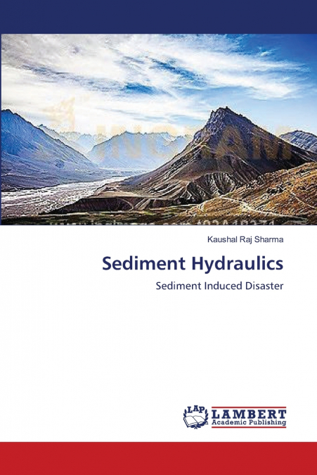 SEDIMENT HYDRAULICS