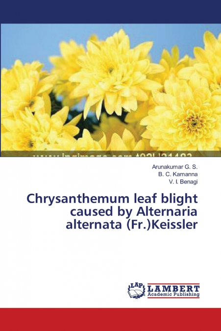 CHRYSANTHEMUM LEAF BLIGHT CAUSED BY ALTERNARIA ALTERNATA (FR
