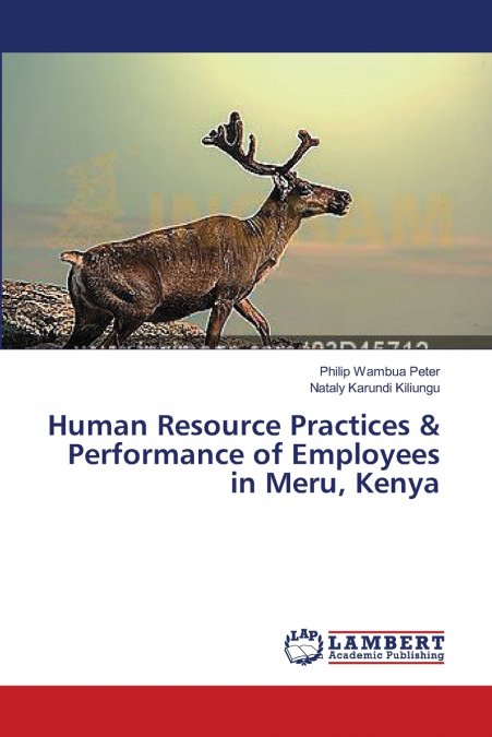 HUMAN RESOURCE PRACTICES & PERFORMANCE OF EMPLOYEES IN MERU,