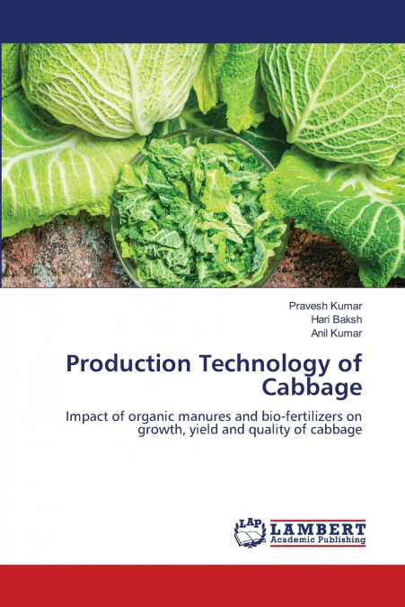 PRODUCTION TECHNOLOGY OF CABBAGE
