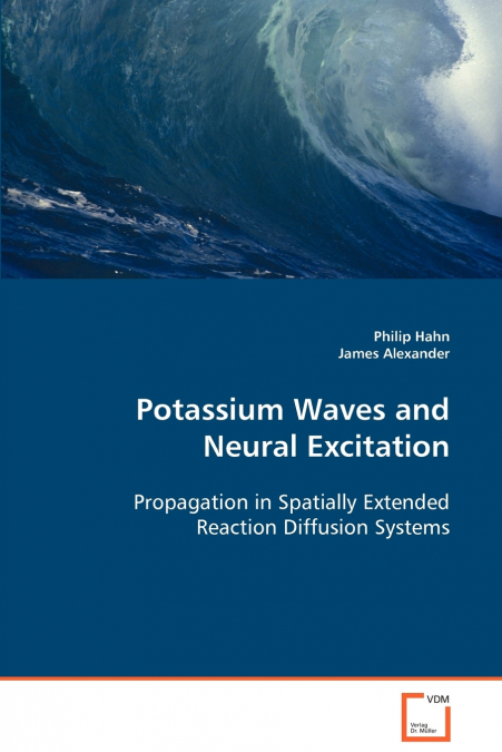 POTASSIUM WAVES AND NEURAL EXCITATION