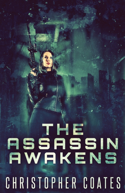 THE ASSASSIN AWAKENS