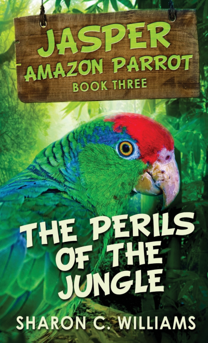 A RAINFOREST ADVENTURE