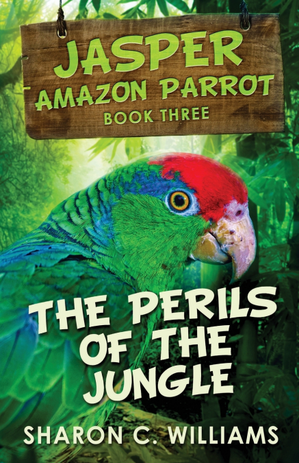 A RAINFOREST ADVENTURE