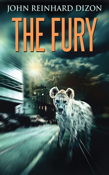 THE FURY