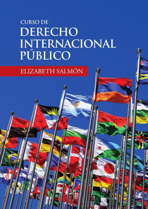 CURSO DE DERECHO INTERNACIONAL PUBLICO