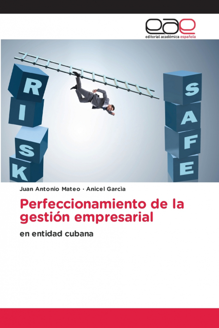 PERFECCIONAMIENTO DE LA GESTION EMPRESARIAL