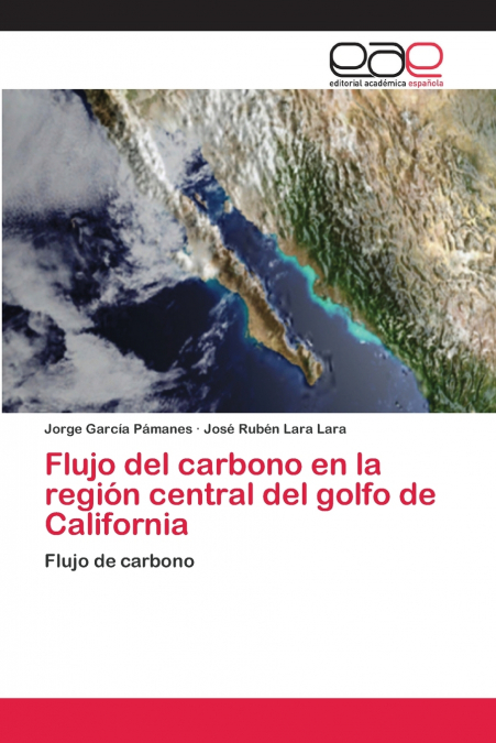 FLUJO DEL CARBONO EN LA REGION CENTRAL DEL GOLFO DE CALIFORN