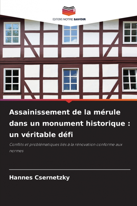 ASSAINISSEMENT DE LA MERULE DANS UN MONUMENT HISTORIQUE