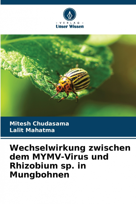 WECHSELWIRKUNG ZWISCHEN DEM MYMV-VIRUS UND RHIZOBIUM SP. IN