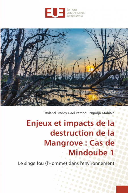 ENJEUX ET IMPACTS DE LA DESTRUCTION DE LA MANGROVE