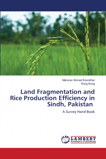 LAND FRAGMENTATION AND RICE PRODUCTION EFFICIENCY IN SINDH,