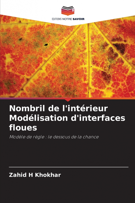NOMBRIL DE L?INTERIEUR MODELISATION D?INTERFACES FLOUES