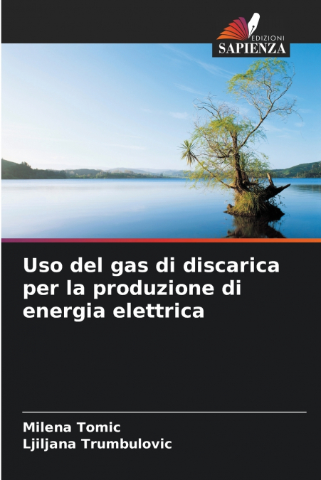 USO DEL GAS DI DISCARICA PER LA PRODUZIONE DI ENERGIA ELETTR