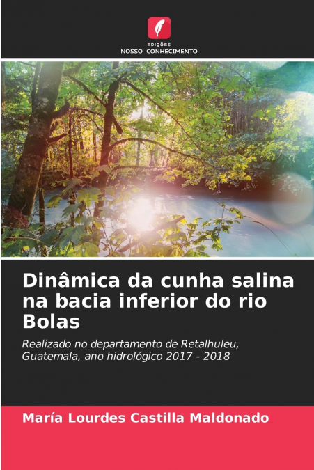 DINAMICA DA CUNHA SALINA NA BACIA INFERIOR DO RIO BOLAS