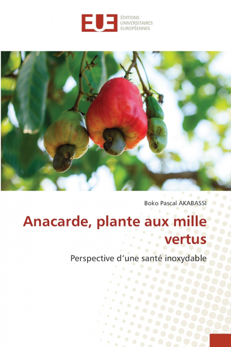 ANACARDE, PLANTE AUX MILLE VERTUS