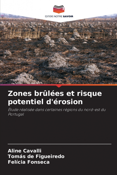 BRENNFLACHEN UND POTENZIELLE EROSIONSGEFAHR