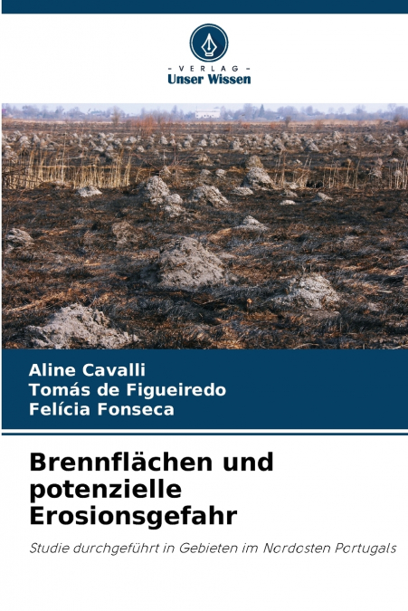 BRENNFLACHEN UND POTENZIELLE EROSIONSGEFAHR