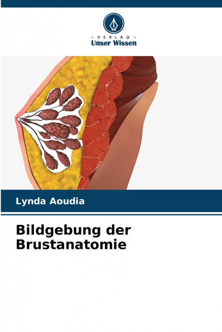 BILDGEBUNG DER BRUSTANATOMIE