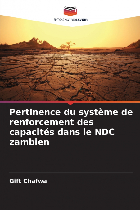 PERTINENCE DU SYSTEME DE RENFORCEMENT DES CAPACITES DANS LE
