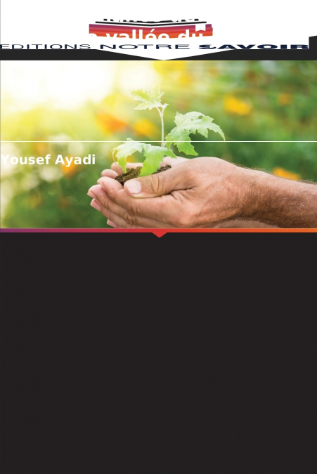 GOUVERNANCE DE L?EAU DANS LA VALLEE DU JOURDAIN