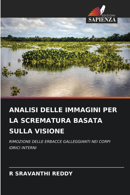 IMAGE ANALYSIS FOR VISION-BASED SKIMMING